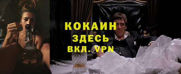 амф Абаза