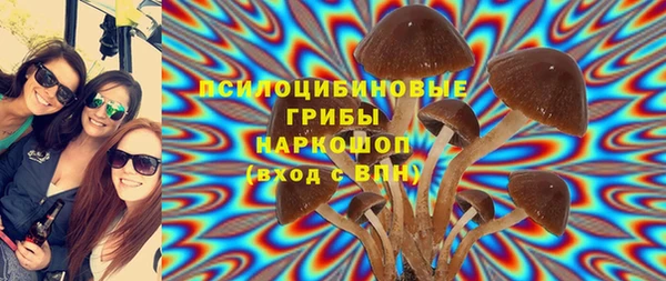 амф Абаза